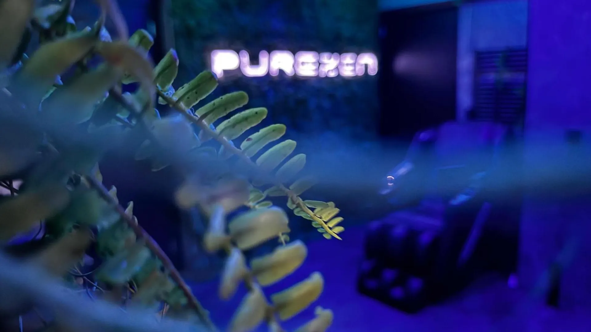 Spartementen By Pure-Zen Rotterdam Appartement